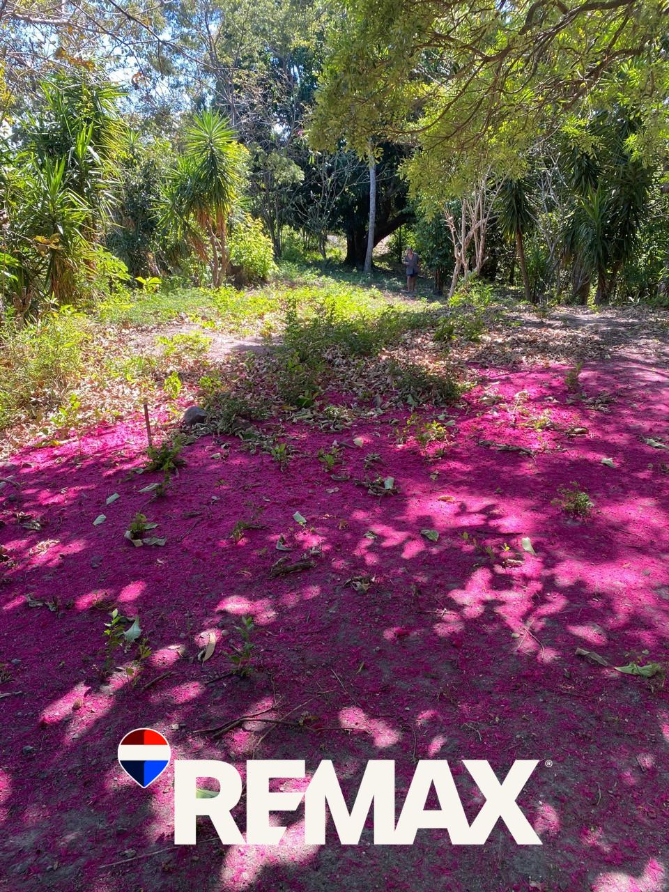 with a view and a pleasant climate.