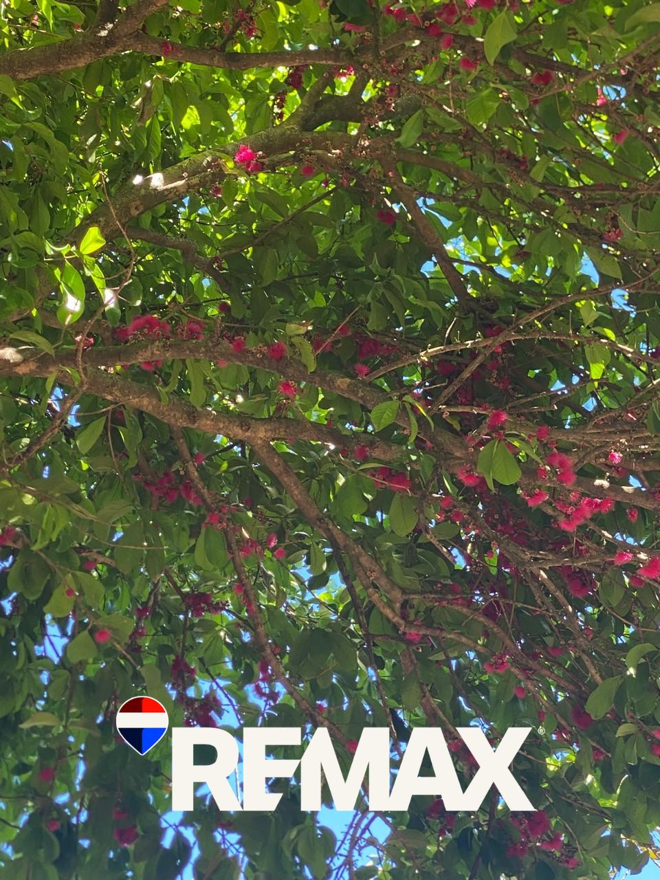 Land for sale in Olocuilta