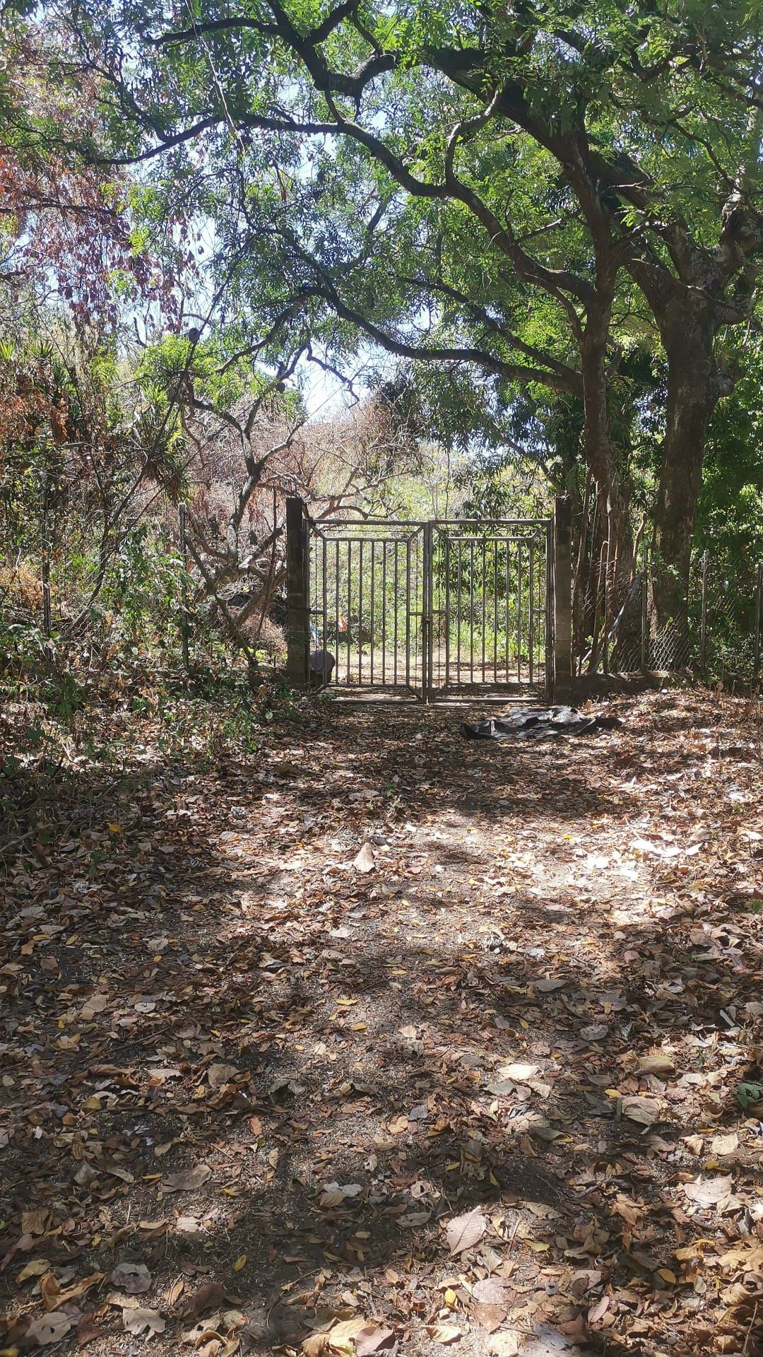 Land for sale in Olocuilta