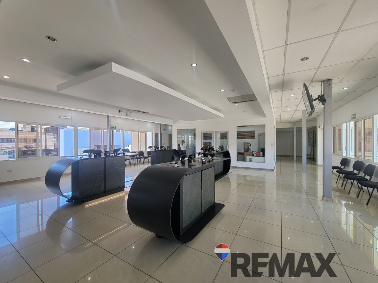 PASEO GENERAL ESCALÓN