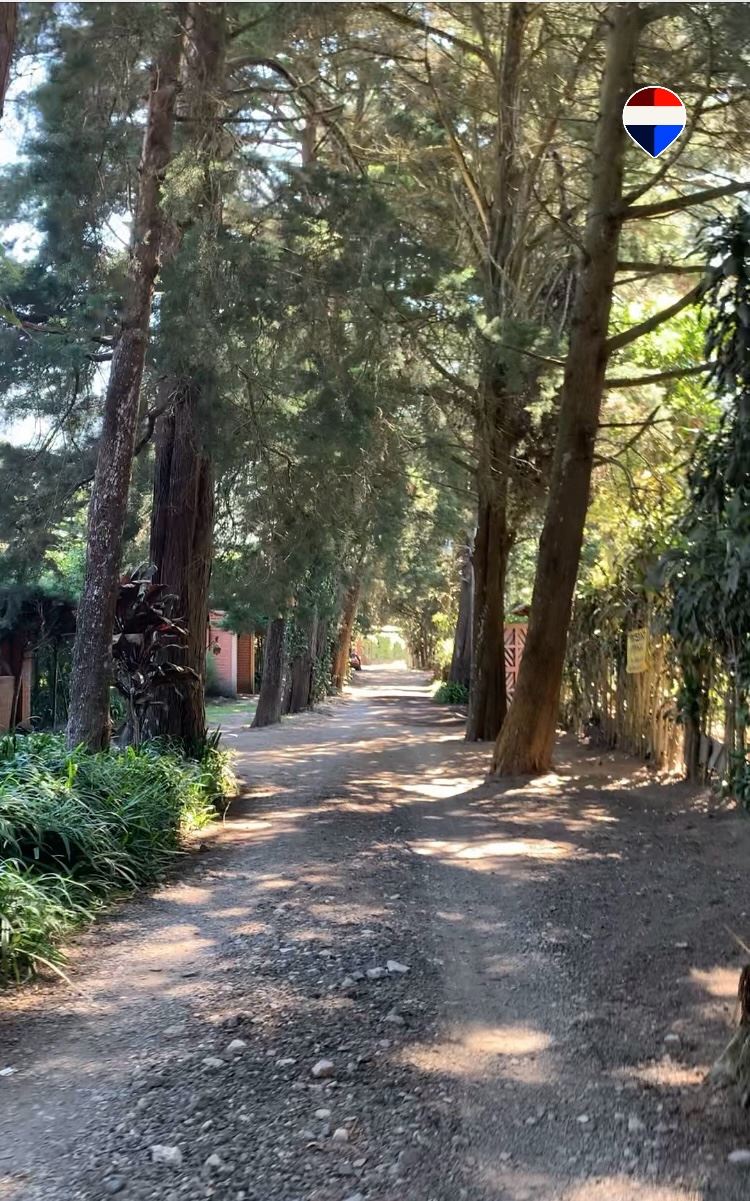 INVESTMENT OPPORTUNITY IN LOS NARANJOS