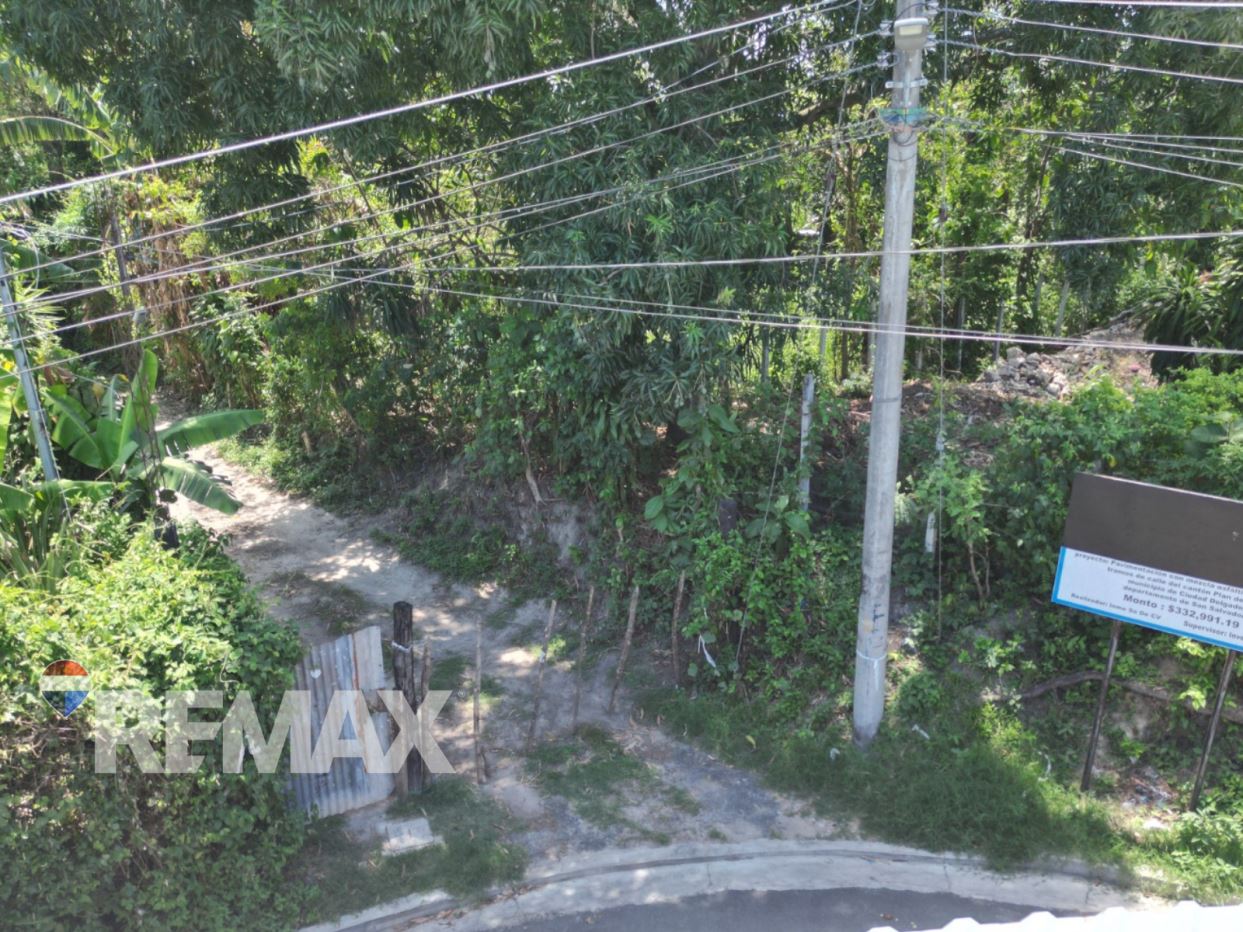 Department of San Salvador