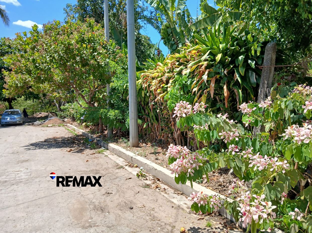FRUIT TREE LAND NEAR DOWNTOWN COATEPEQUE