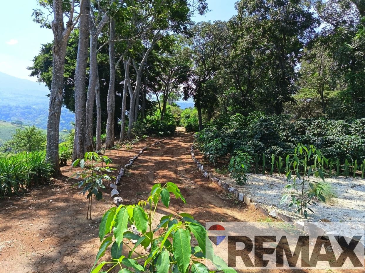 LAND FOR SALE IN A PRIVATE RESIDENTIAL AREA IN AHUACHAPÁN