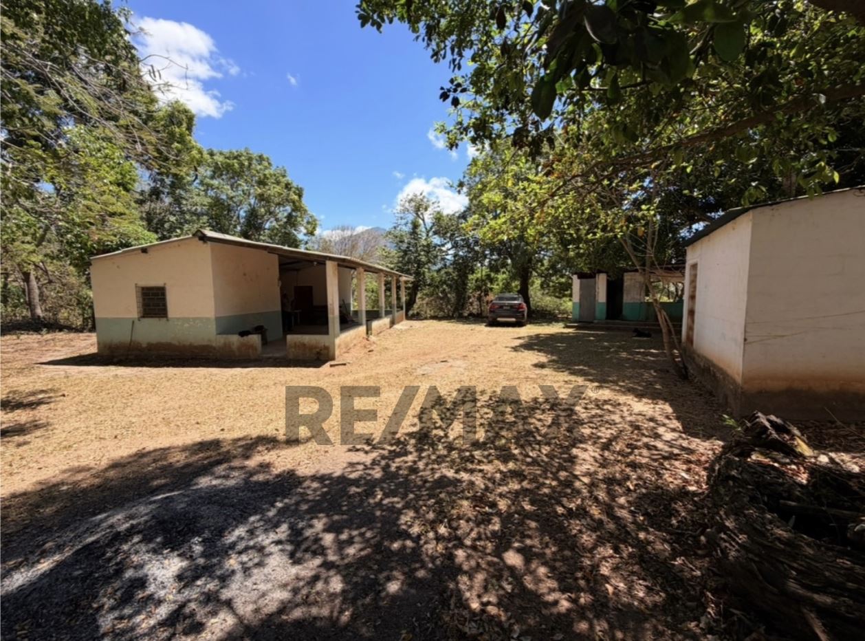Large land in Zacatecoluca