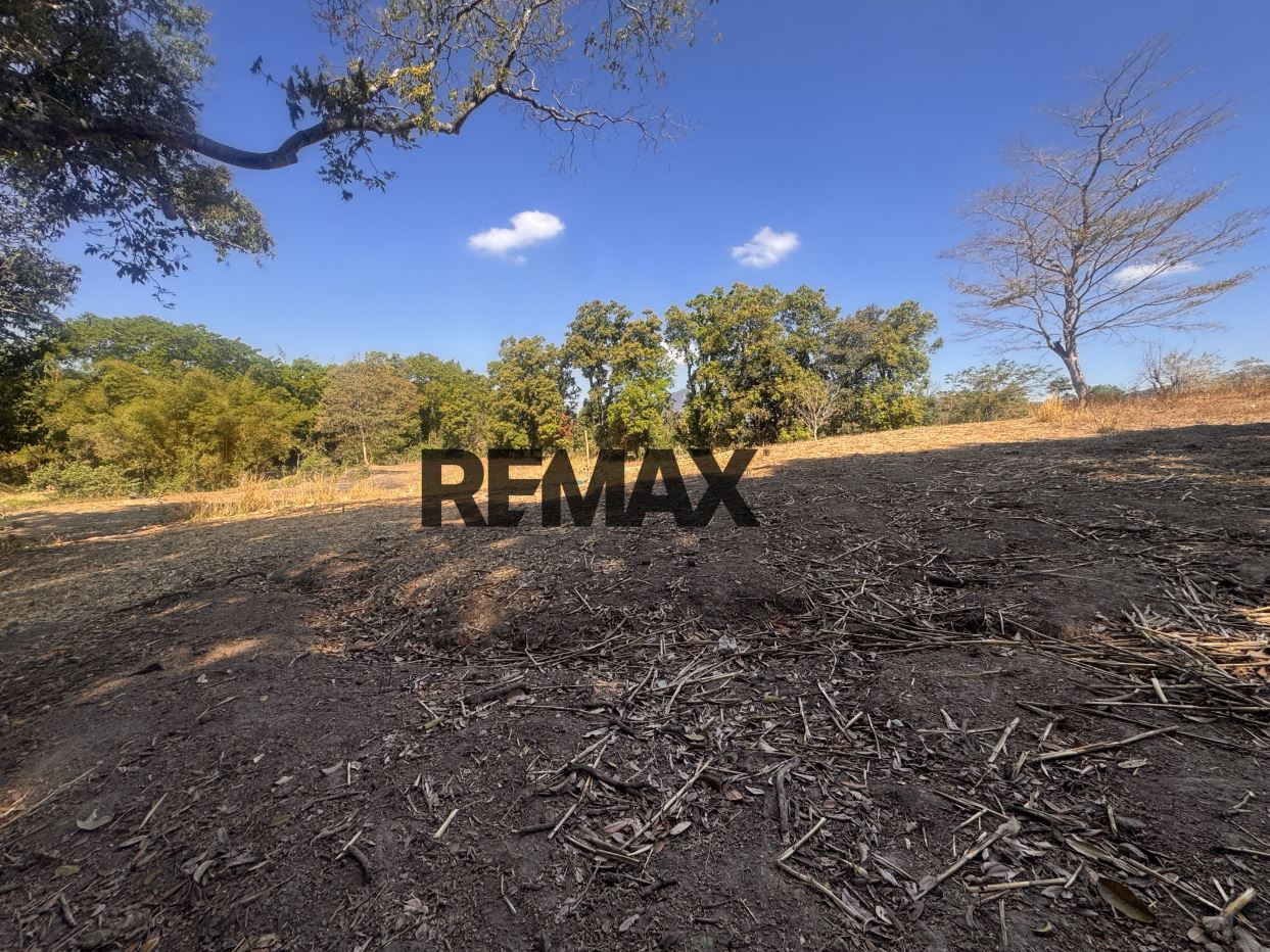 Investment Opportunity in Oratorio de Concepción