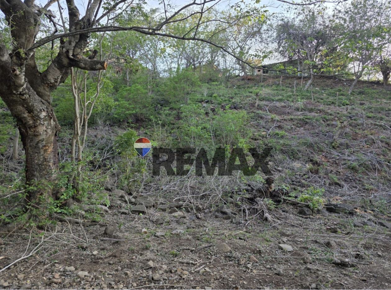Land for Sale – San Antonio Pajonal (Road to La Piedrona)
