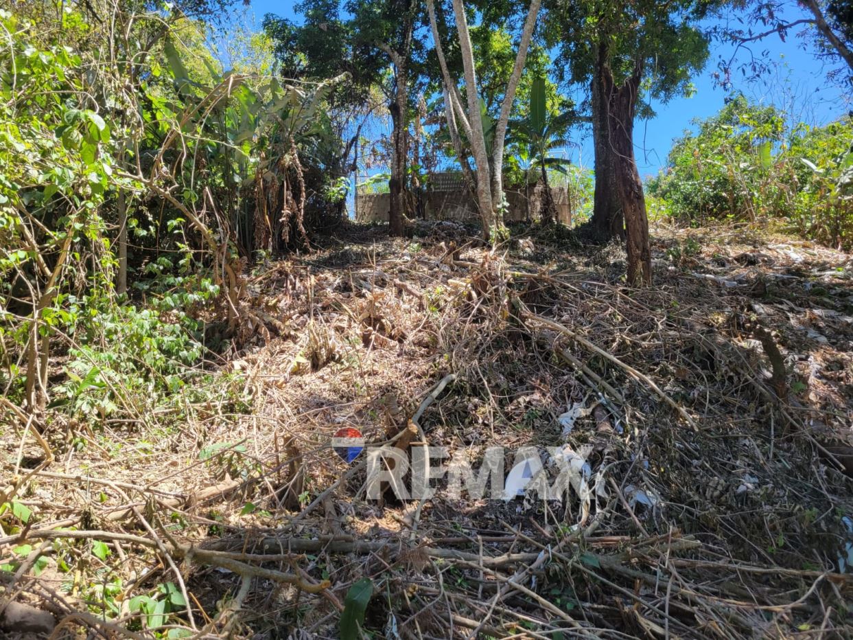 LINDA VISTA NEIGHBORHOOD