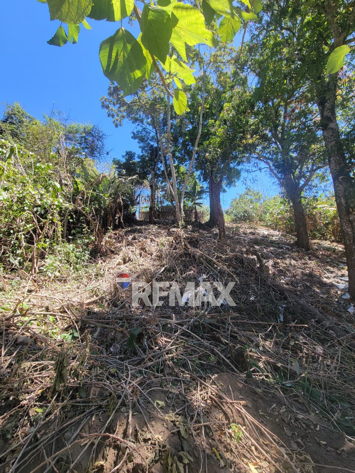 SANTA TECLA. LAND FOR SALE