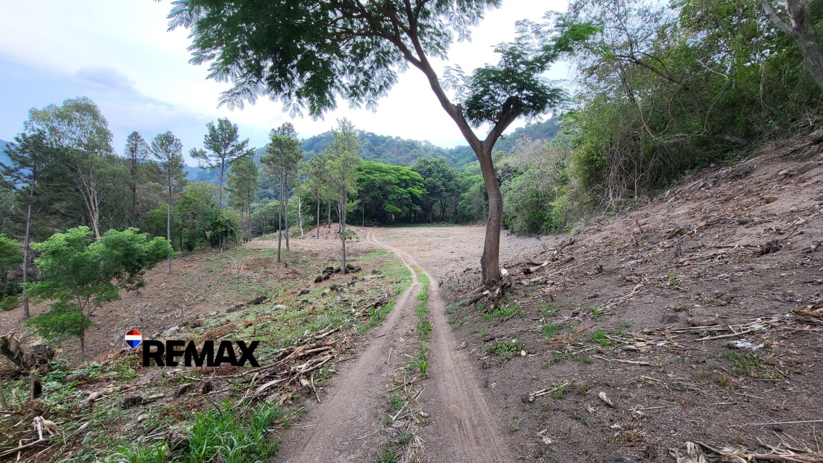 Premium Investment Opportunity in Candelaria de la Frontera