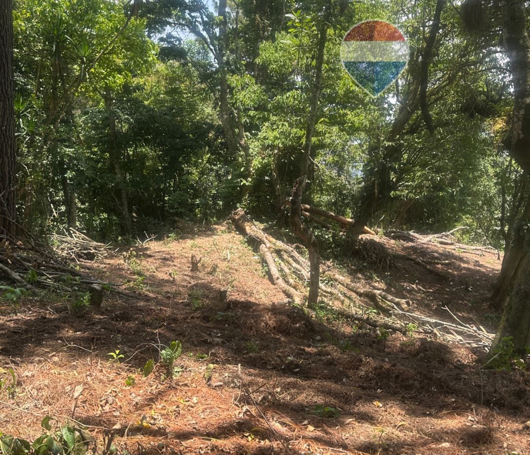 LAND IN THE SAN SALVADOR VOLCANO