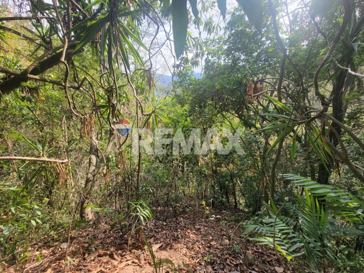 SAN SALVADOR. Z CANTÓN EL CARMEN. 3635 M2