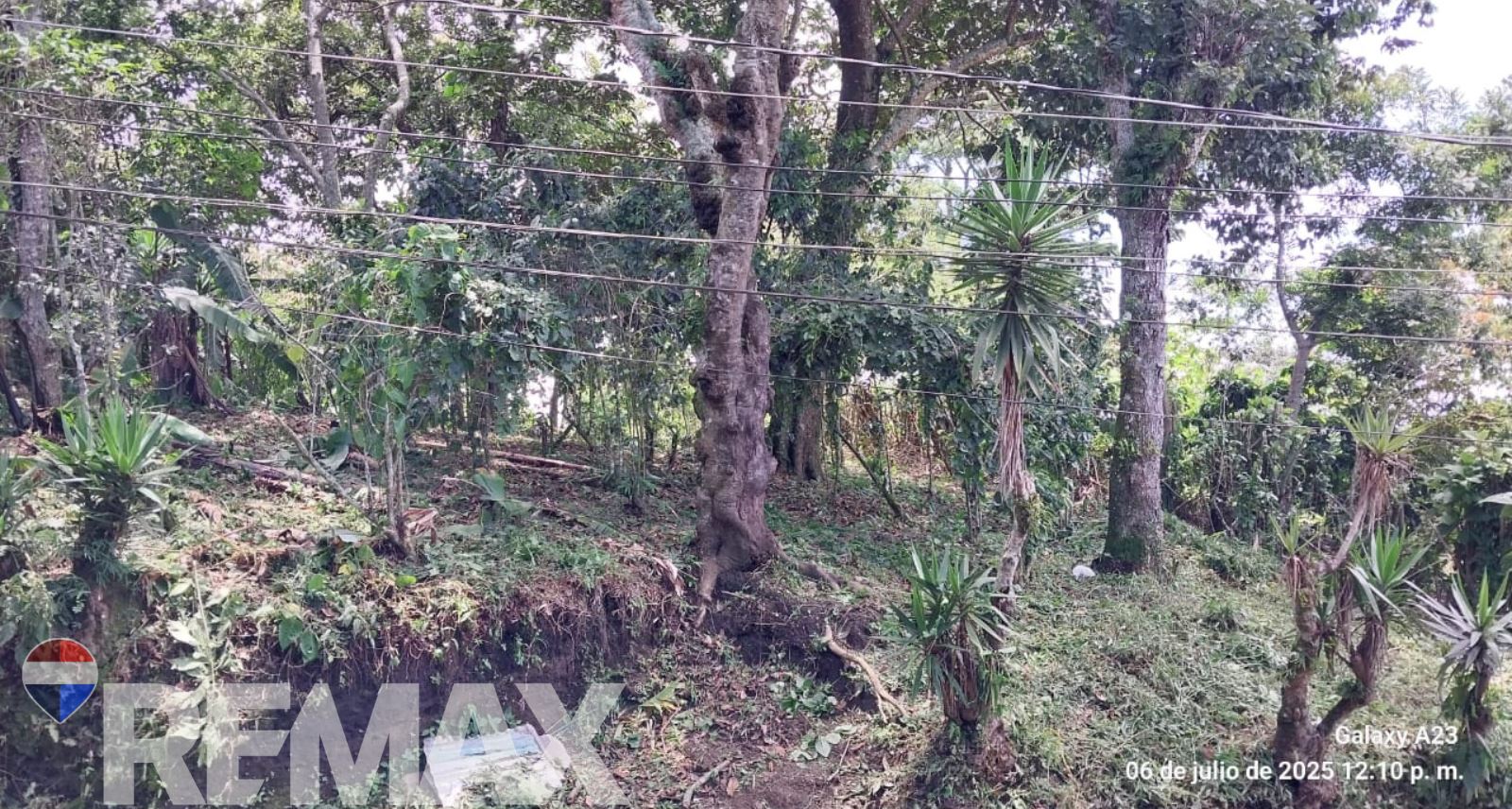 Beautiful land for sale in the San Salvador Volcano area.