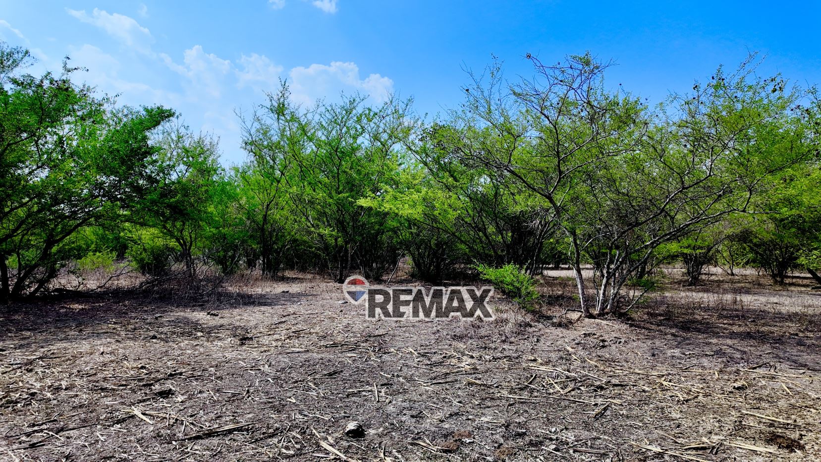Terreno en Aguilares