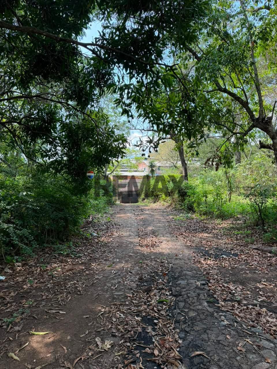Great Investment Opportunity in Ahuachapan